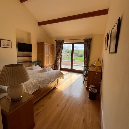 Neuadd Villa Llanwnen Esterno foto
