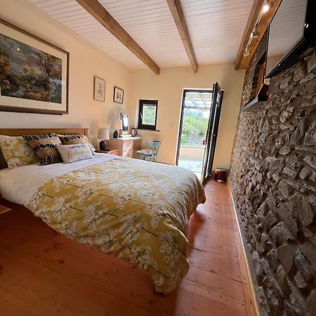 Neuadd Villa Llanwnen Esterno foto