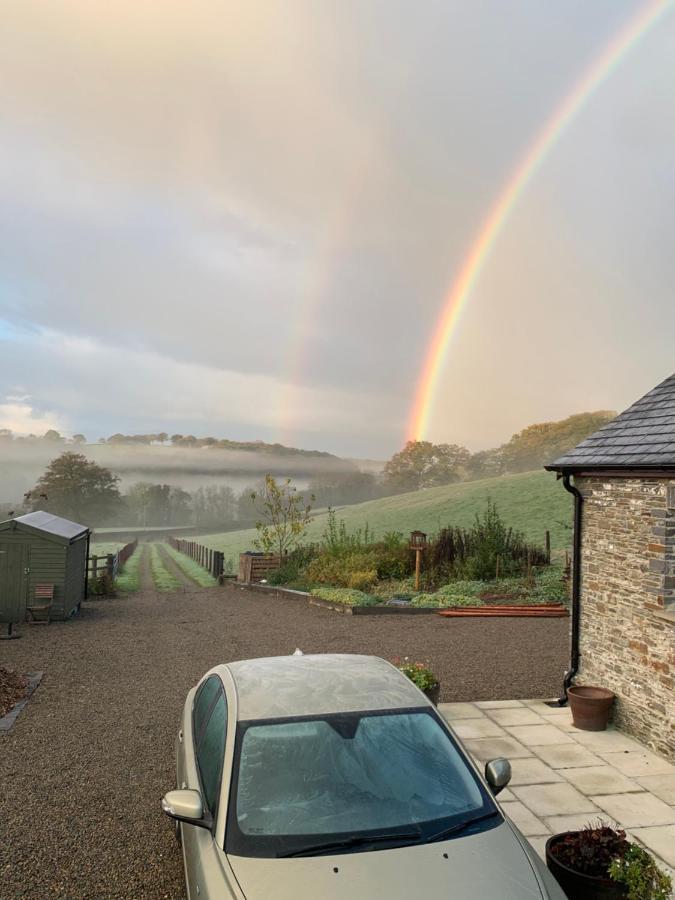 Neuadd Villa Llanwnen Esterno foto