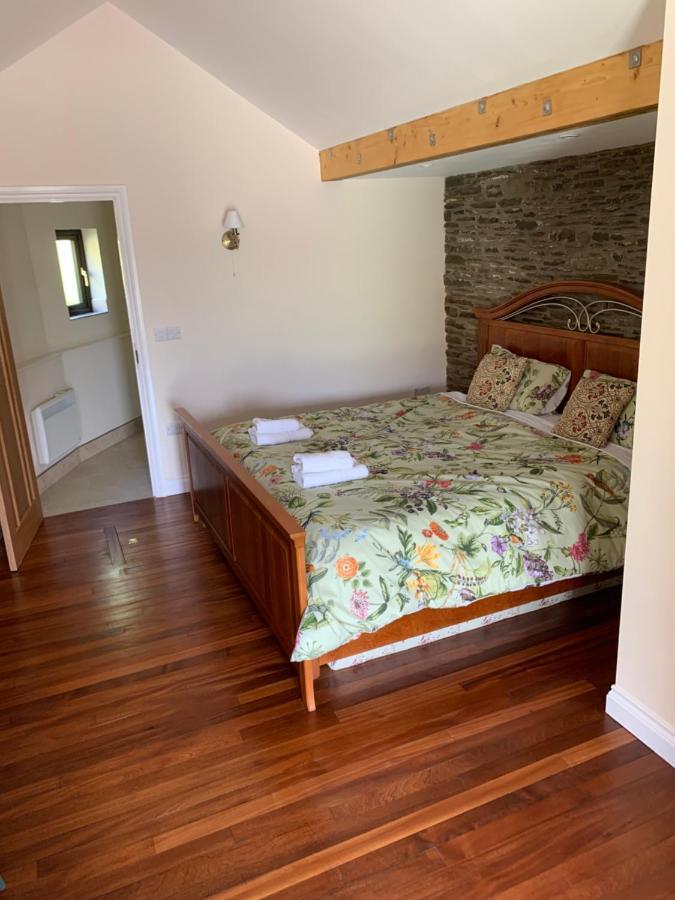 Neuadd Villa Llanwnen Esterno foto