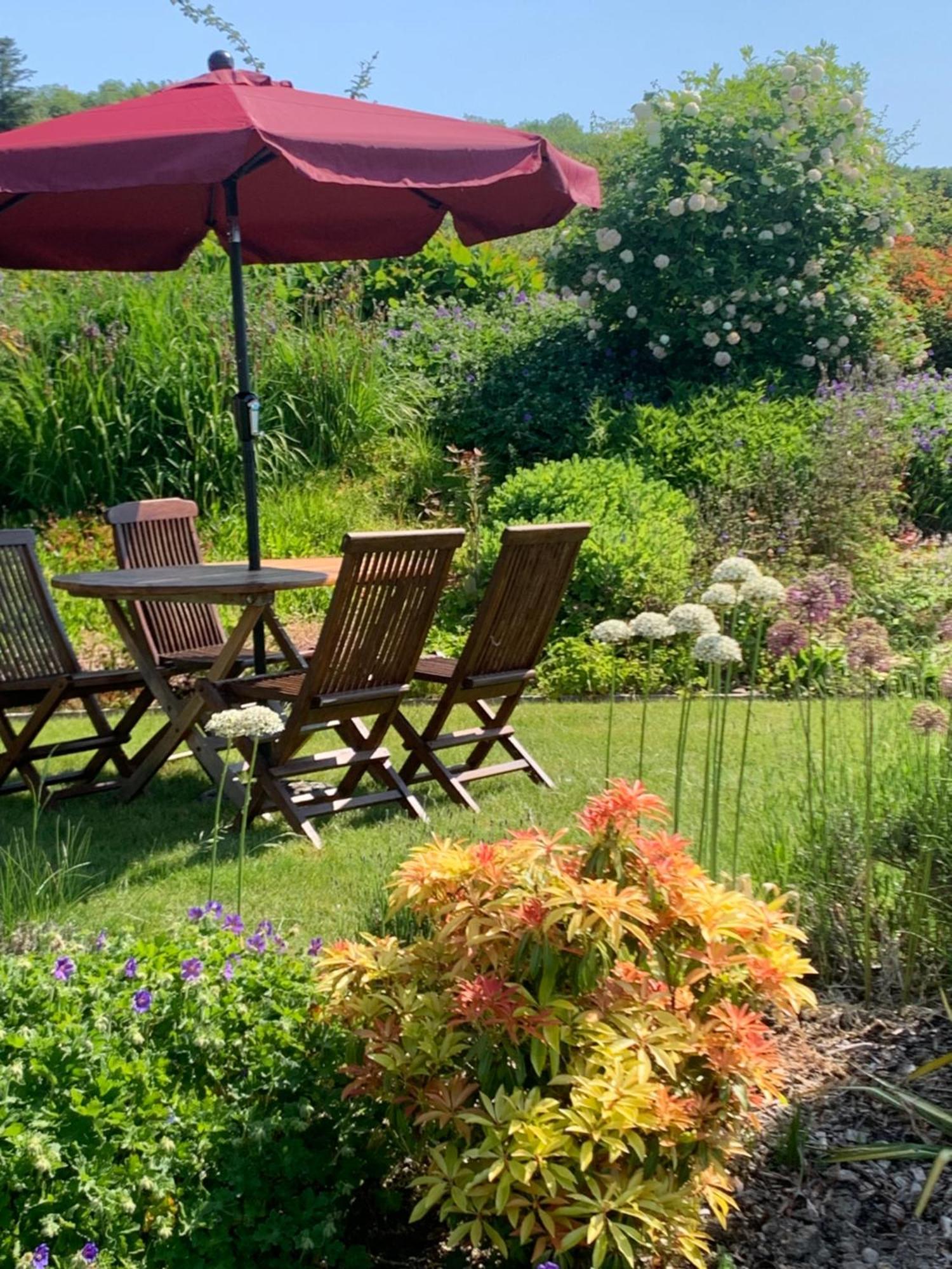 Neuadd Villa Llanwnen Esterno foto